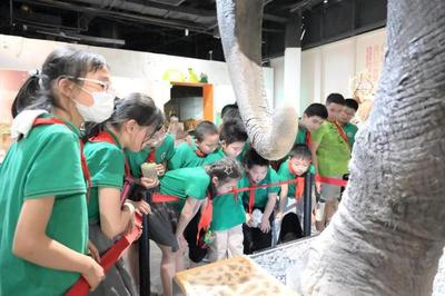 揭秘自然來信，共建綠色家園 | 青少年科學講壇引領自然探索新風尚