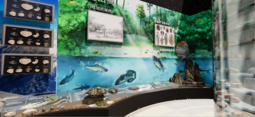 青藏高原綜合科學考察與研究古生物展廳 在拉薩之巔，探尋生命演化的史詩
